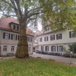 Tübingens Altstadt - der Turm des Schlosses